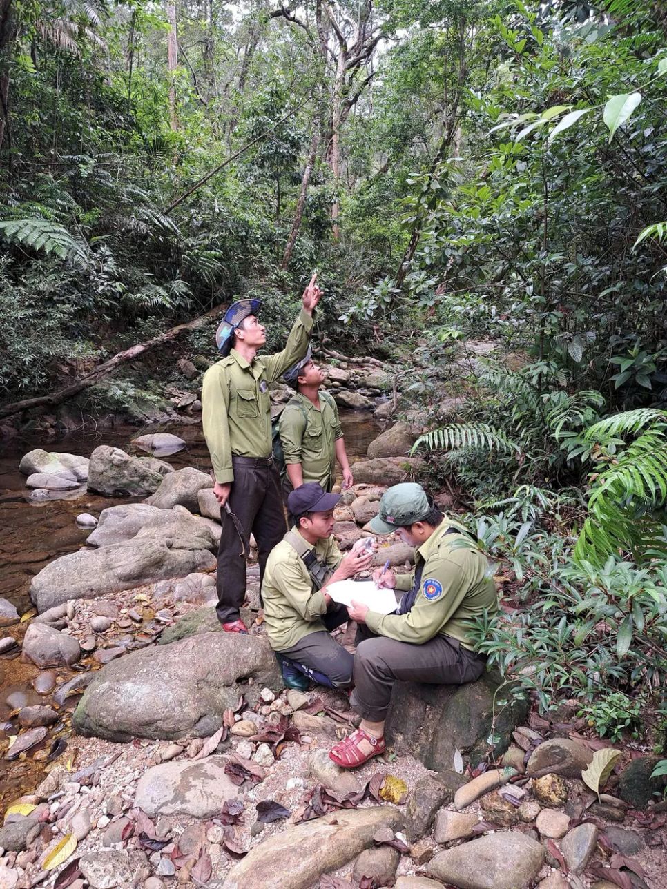 Lạc vào Vườn Di sản ASEAN Bạch Mã Lạc vào Vườn Di sản ASEAN Bạch Mã