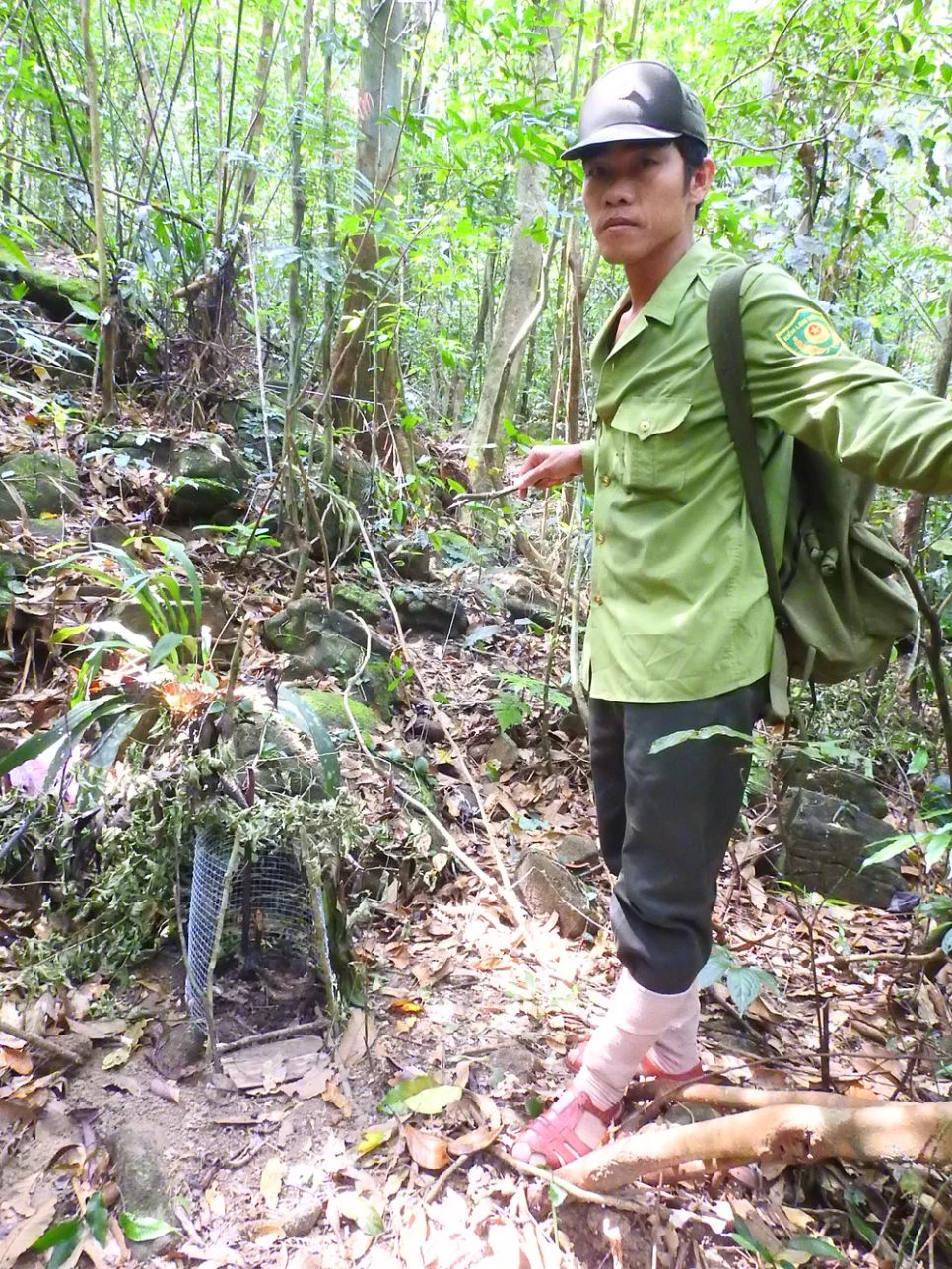 Lạc vào Vườn Di sản ASEAN Bạch Mã Lạc vào Vườn Di sản ASEAN Bạch Mã