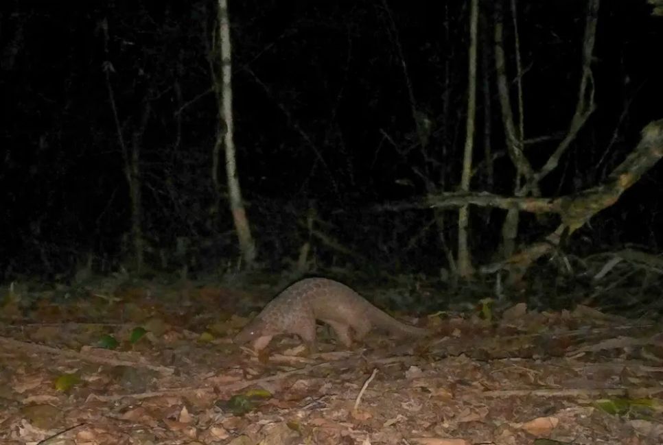 Lạc vào Vườn Di sản ASEAN Bạch Mã Lạc vào Vườn Di sản ASEAN Bạch Mã