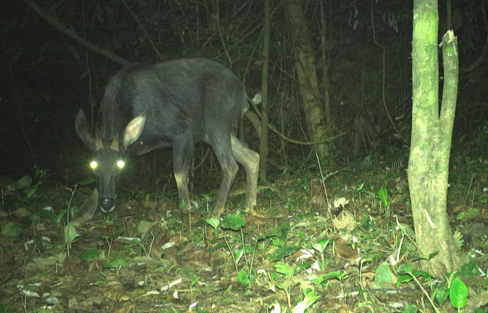 Lạc vào Vườn Di sản ASEAN Bạch Mã Lạc vào Vườn Di sản ASEAN Bạch Mã