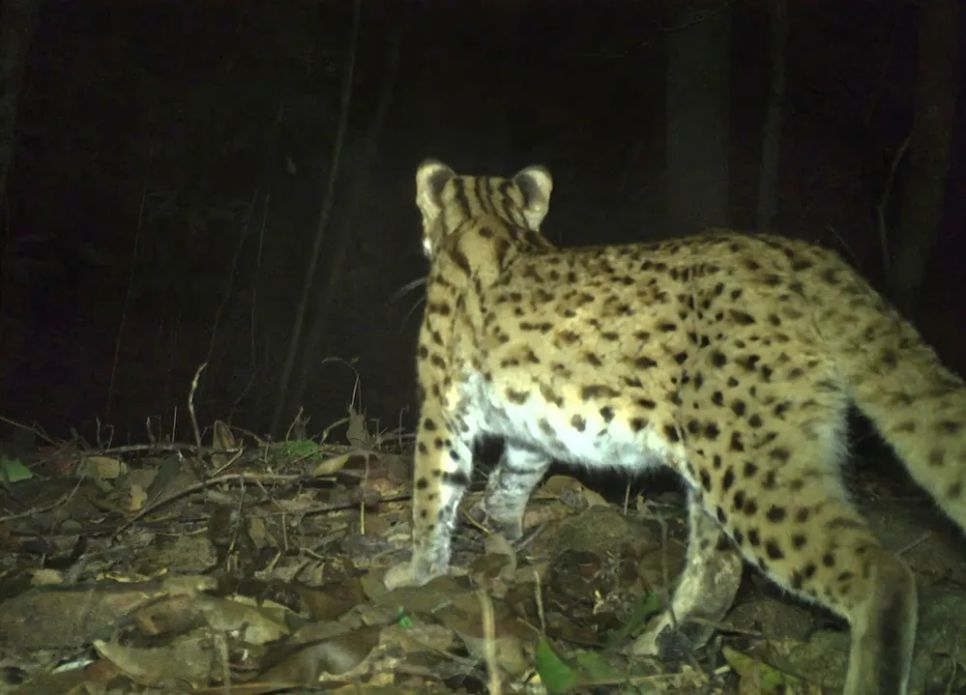 Lạc vào Vườn Di sản ASEAN Bạch Mã Lạc vào Vườn Di sản ASEAN Bạch Mã