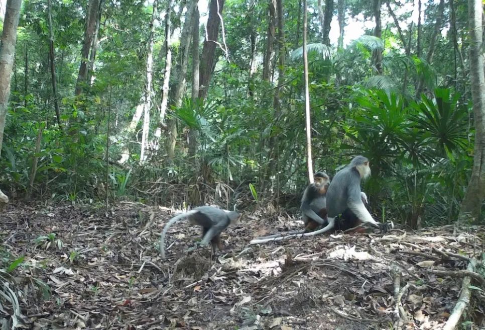 Lạc vào Vườn Di sản ASEAN Bạch Mã Lạc vào Vườn Di sản ASEAN Bạch Mã