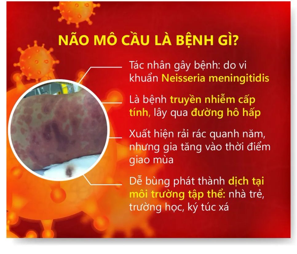 Cà Mau: Một trường hợp tử vong nghi mắc viêm não mô cầu Cà Mau: Một trường hợp tử vong nghi mắc viêm não mô cầu