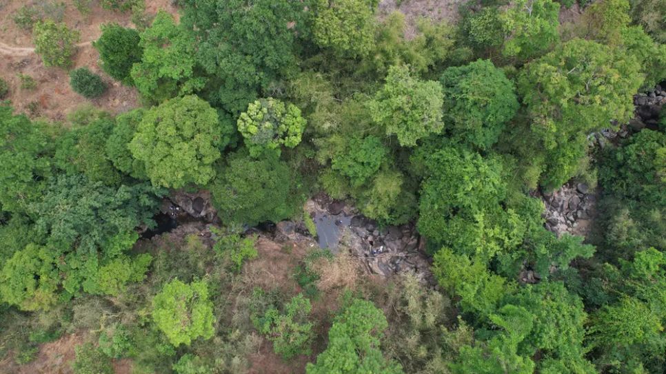 Khu rừng nơi tổ chức lễ cúng rừng