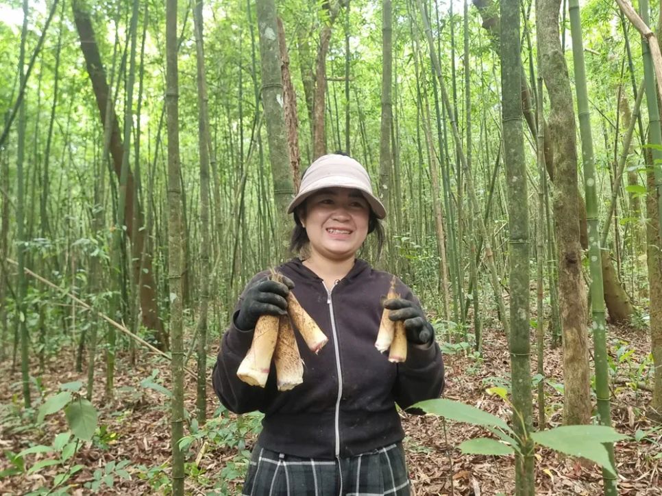 Mùa hái lộc rừng