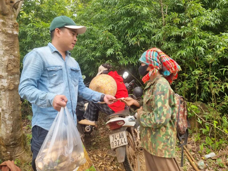 Thương lái thu mua măng vầu ở bìa rừng