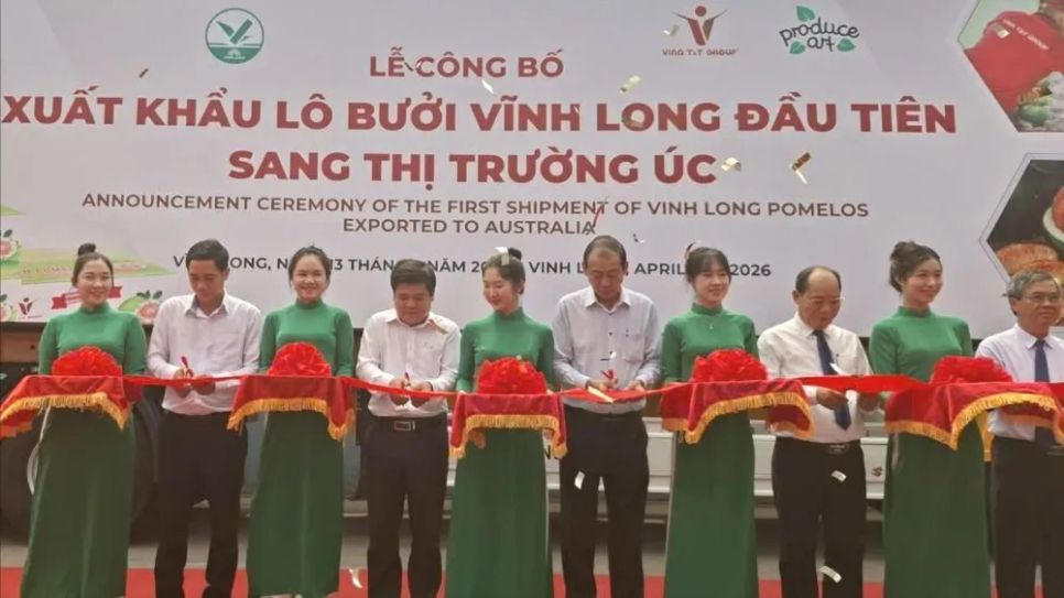 Các đại biểu thực hiện nghi thức tổ chức Lễ xuất khẩu lô bưởi Vĩnh Long đầu tiên sang thị trường Úc