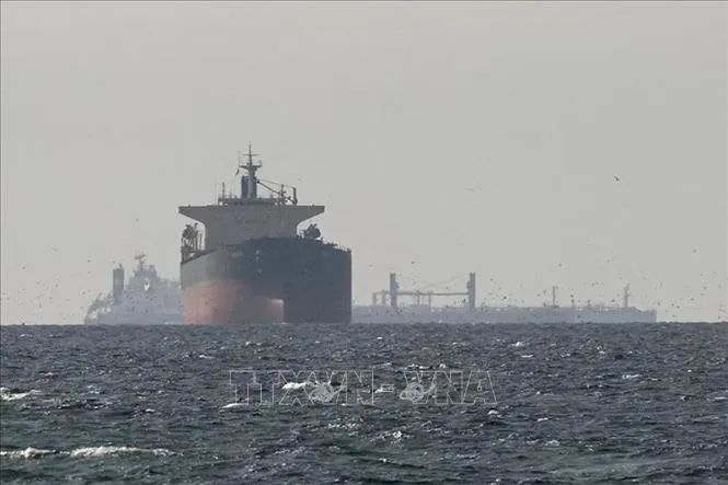 Tàu chở dầu neo tại vùng Vịnh, gần eo biển Hormuz, khi xung đột diễn ra giữa lực lượng phối hợp Mỹ-Israel với Iran, ngày 11/3/2026. Ảnh: TTXVN Tàu chở dầu neo tại vùng Vịnh, gần eo biển Hormuz, khi xung đột diễn ra giữa lực lượng phối hợp Mỹ-Israel với Iran, ngày 11/3/2026. Ảnh: TTXVN