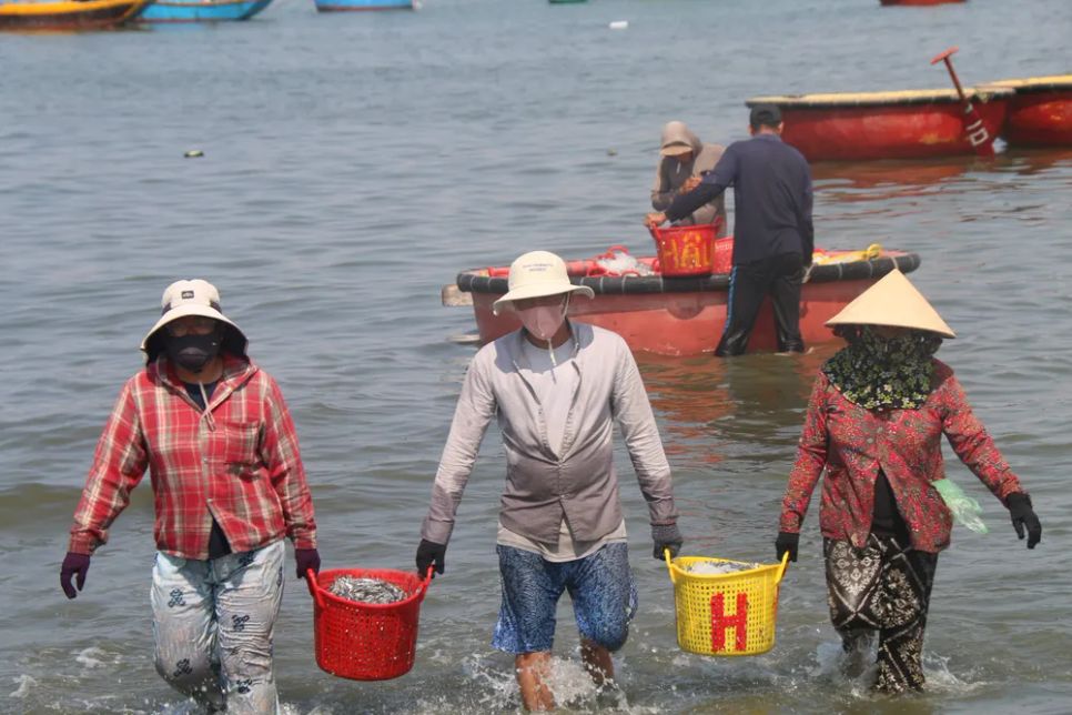 Nhiều phụ nữ có thêm thu nhập khi xách cá cơm thuê. Ảnh: TIẾN THẮNG