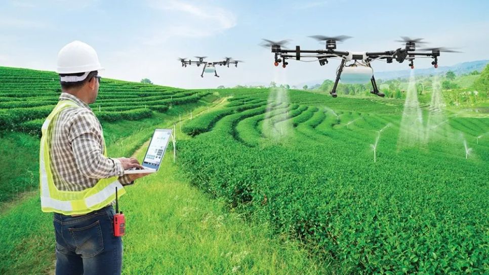 Sử dụng drone trong canh tác nông nghiệp ngày càng phổ biến. Ảnh minh họa