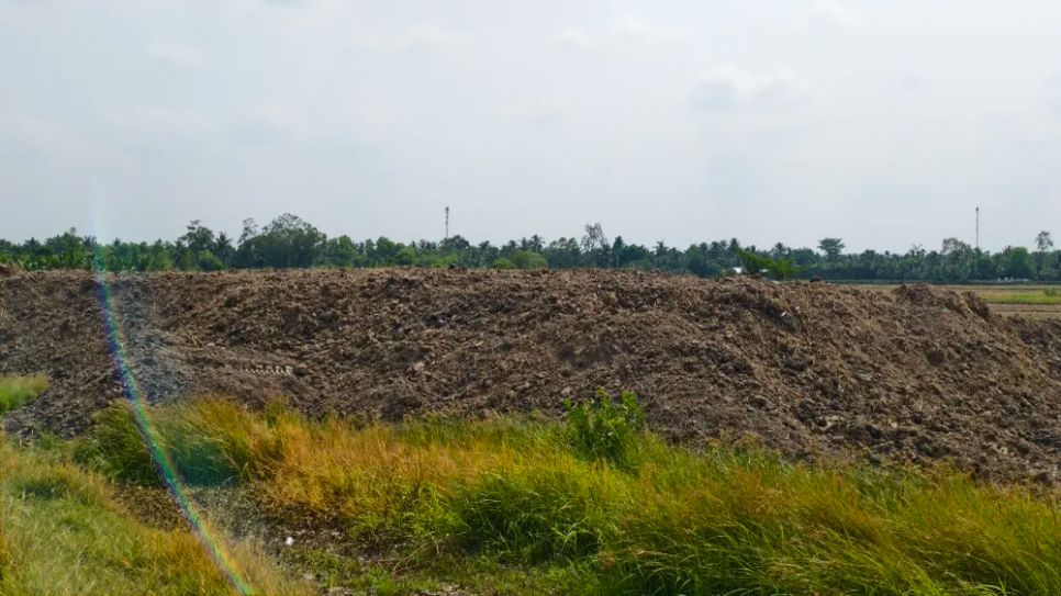 Một ụ đất cao trên 1m, nằm cặp tuyến ĐT909, thuộc xã Phú Quới