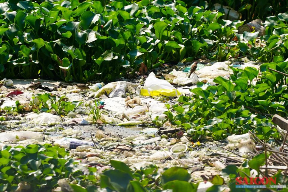 Mặt nước sông chuyển màu đen đục, rác thải sinh hoạt nổi dày đặc Ảnh: HIẾU GIANG