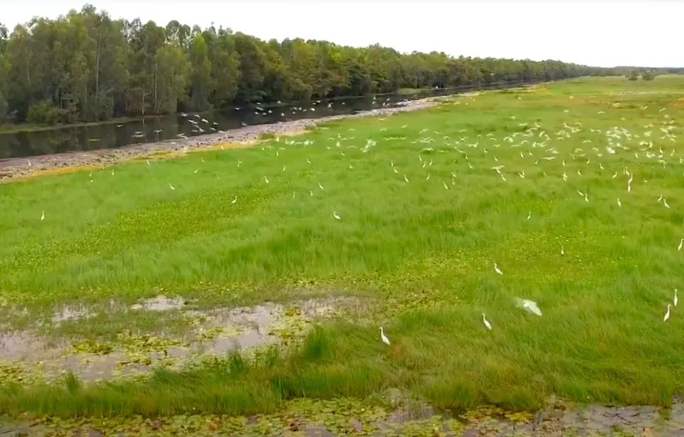 Đảm bảo phòng cháy chữa cháy rừng Tràm Chim và Gò Tháp mùa nắng nóng Đảm bảo phòng cháy chữa cháy rừng Tràm Chim và Gò Tháp mùa nắng nóng