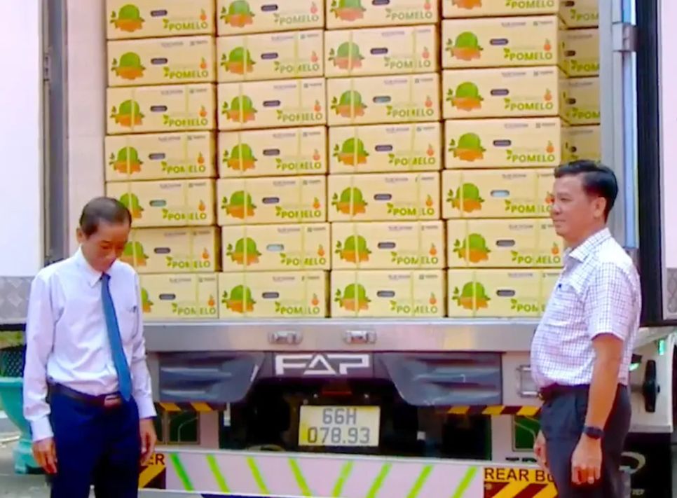<i>Lô hàng hơn 5 tấn bưởi da xanh Đồng Tháp được xuất khẩu sang thị trường Úc</i>