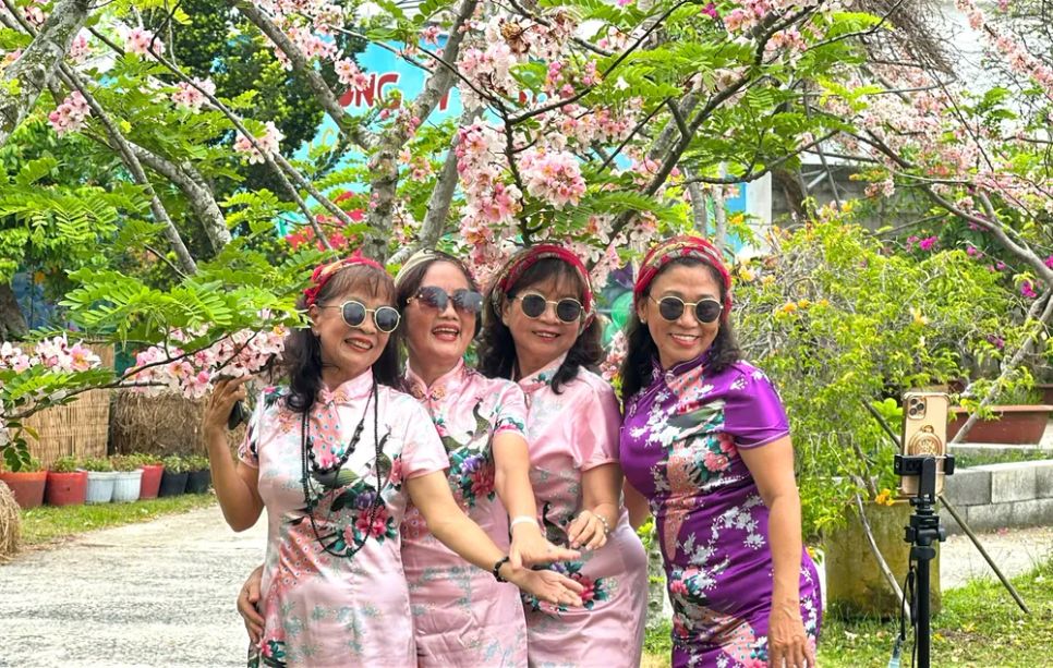 Ngắm vườn hoa anh đào đẹp nhất miền Tây