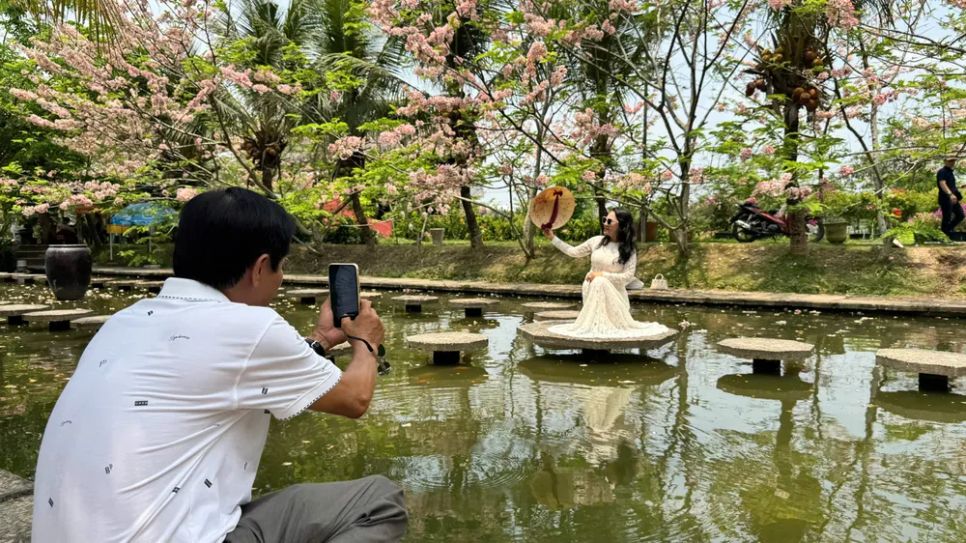 Ngắm vườn hoa anh đào đẹp nhất miền Tây