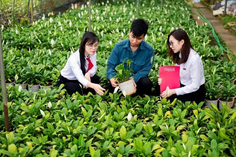 Agribank hướng dòng vốn vào lĩnh vực nông nghiệp xanh