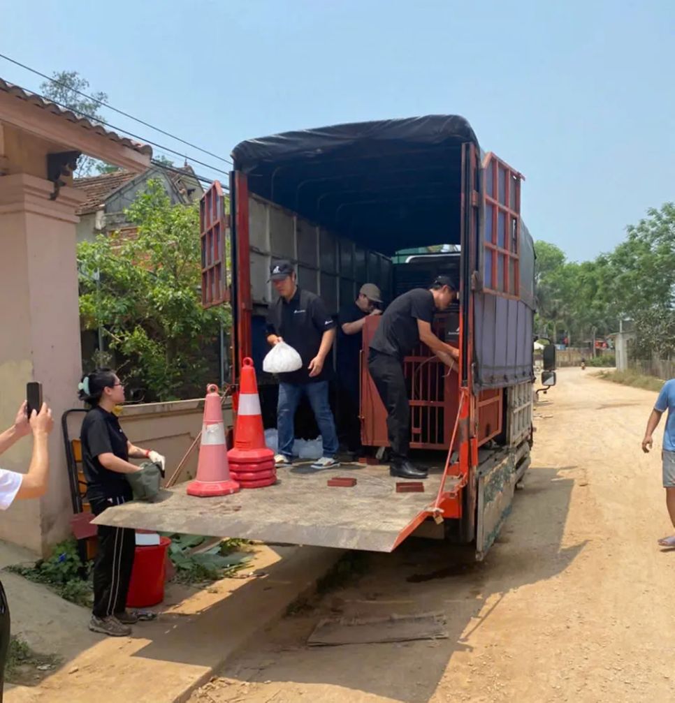 Cứu hộ thành công 2 cá thể gấu ngựa ở Nghệ An 