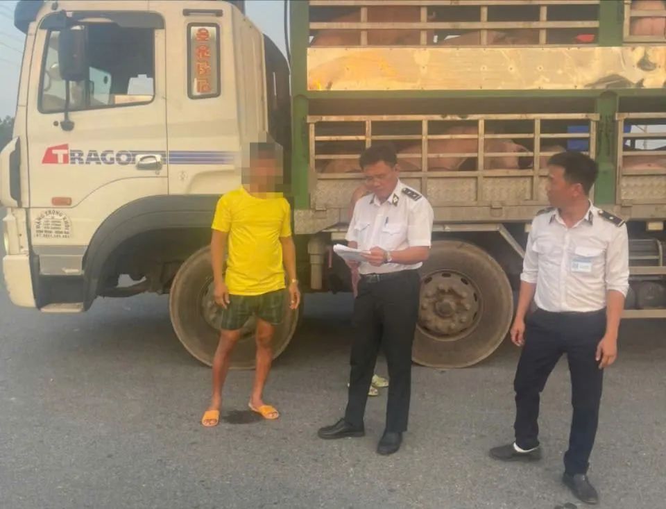 Tổ công tác kiểm tra phương tiện vận chuyển động vật