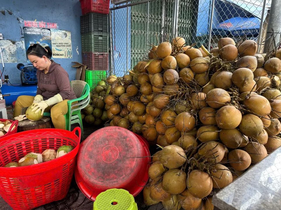 Điểm thu mua dừa tại phường Mỹ Tho, tỉnh Đồng Tháp