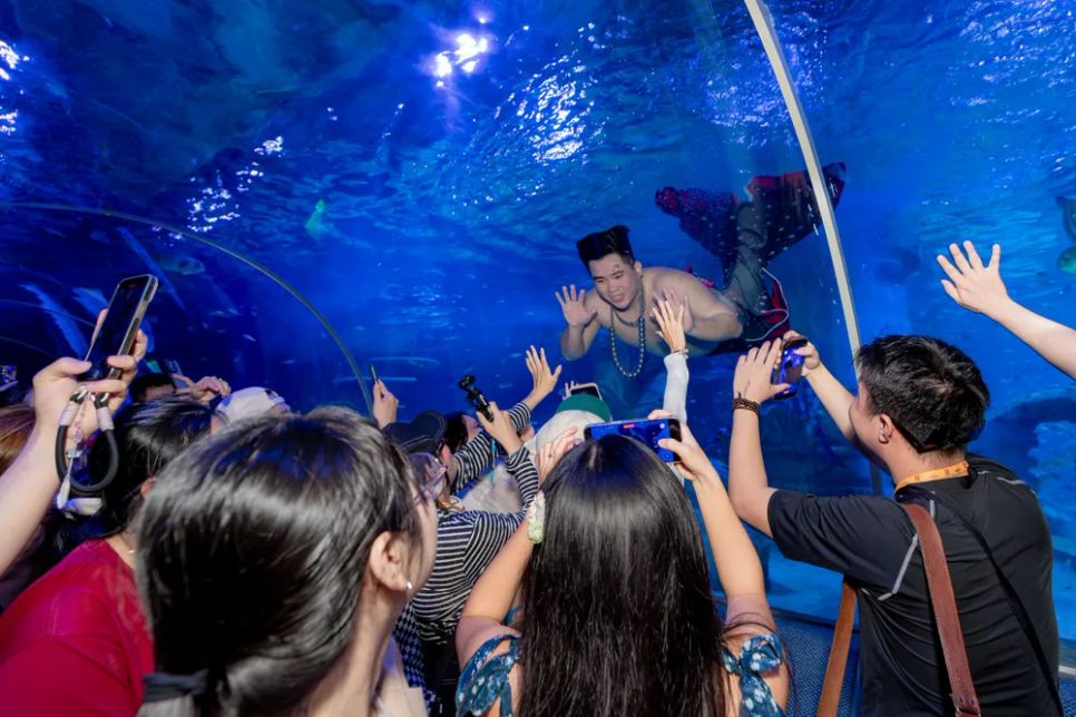 Chàng “tiên cá béo” mang đến trải nghiệm tương tác thú vị cho du khách