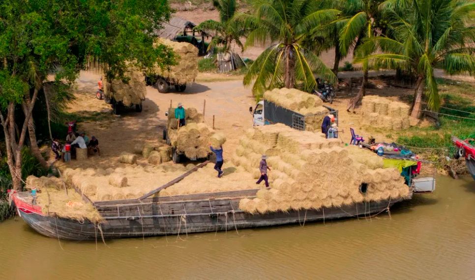 <i>Chợ rơm cuộn ven dòng Ba Lai nhộn nhịp - Ảnh: Trí Trần</i>