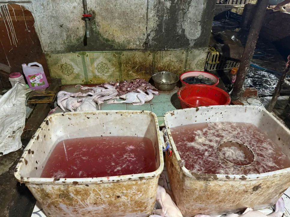 Hiện trường cơ sở giết mổ động vật trái phép