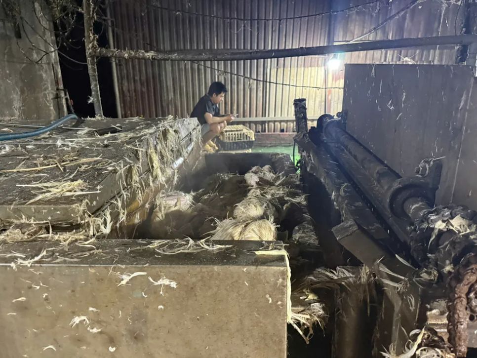 Số động vật đã giết mổ được lực lượng chức năng xử lý nhiệt và chuyển mục đích sử dụng