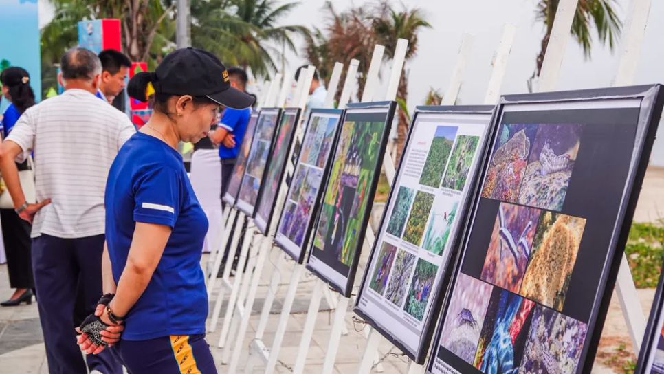 Trưng bày nhiều hình ảnh đẹp về biển Đà Nẵng, bán đảo Sơn Trà. Ảnh: XUÂN QUỲNH
