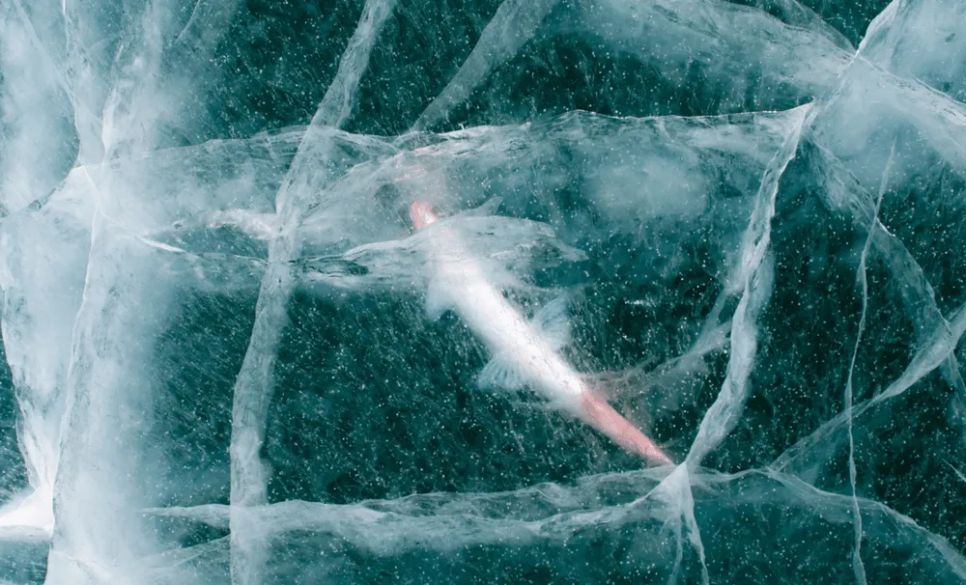 SHUTTERSTOCK/INDIAN DEFENCE REVIEW