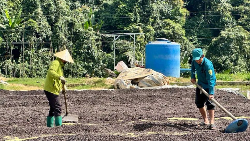 Nâng tầm giá trị hạt cà phê Việt bằng cách nào? 