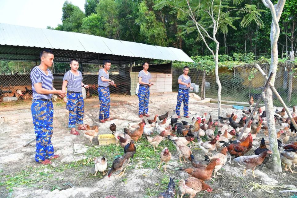Kỷ luật tôi rèn bản lĩnh tuổi đôi mươi
