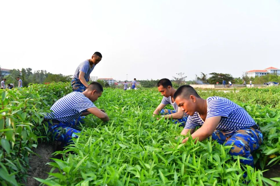 Kỷ luật tôi rèn bản lĩnh tuổi đôi mươi