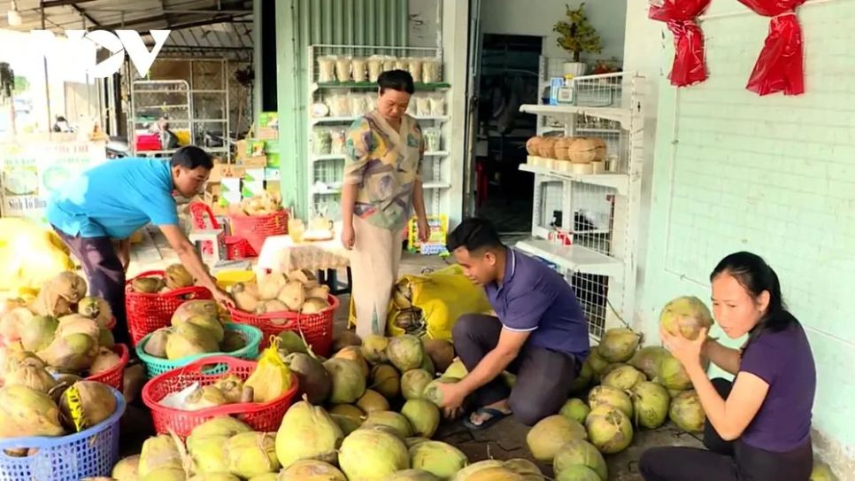 Nghịch lý 84% hộ kinh doanh vẫn 'sợ' lớn