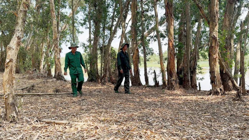 <i>Công tác tuần tra tại Vườn quốc gia Tràm Chim diễn ra xuyên suốt - Ảnh: Bùi Nguyên</i>