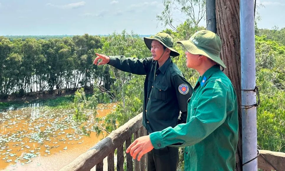 <i>Lực lượng bảo vệ rừng tại Vườn quốc gia Tràm Chim đang thực hiện tuần tra từ đài quan sát - Ảnh: Bùi Nguyên</i>