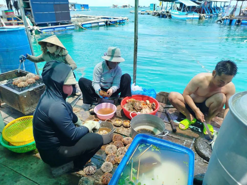 Các quán ăn, nhà hàng chuẩn bị hải sản phục vụ khách du lịch. Ảnh: TIẾN THẮNG