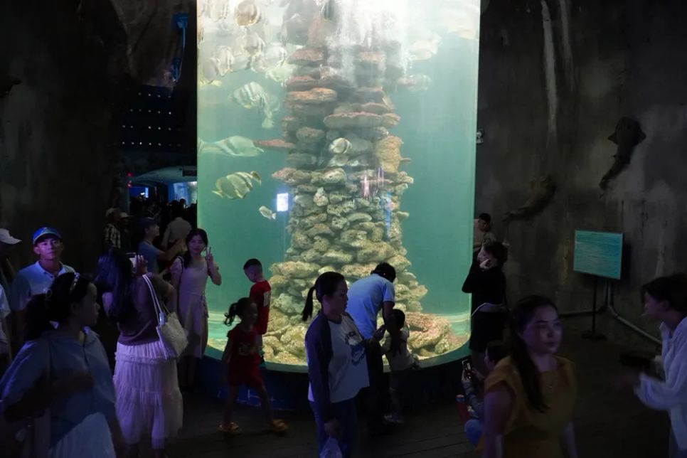 Du khách tham quan Bảo tàng Hải Dương học tại phường Nha Trang, tỉnh Khánh Hòa. Ảnh: HIẾU GIANG