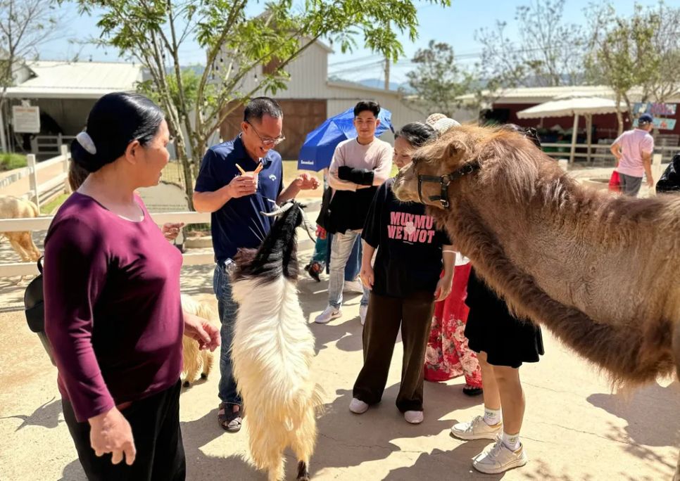 Du khách thích thú trải nghiệm sản phẩm du lịch tại phường Lang Biang - Đà Lạt, tỉnh Lâm Đồng. Ảnh: ĐOÀN KIÊN