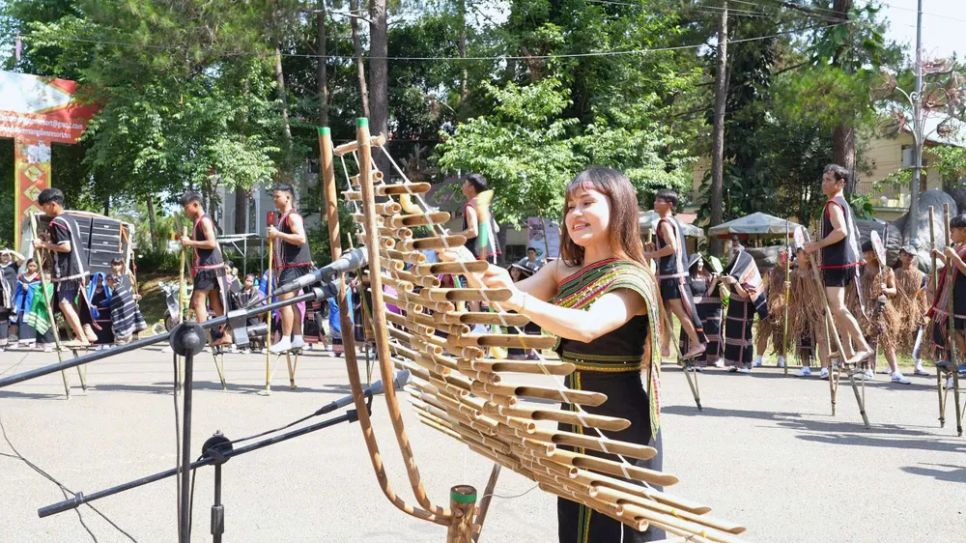 Biểu diễn nhạc cụ dân tộc tại lễ hội đường phố