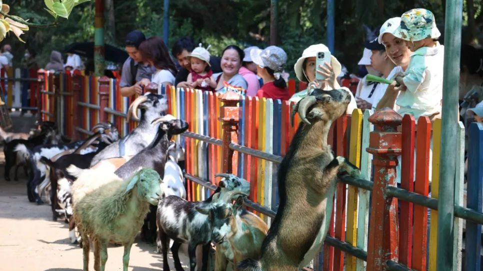 Khách vui chơi tại Thảo cầm viên Sài Gòn, ngày 30-4. Ảnh: Thi Hồng