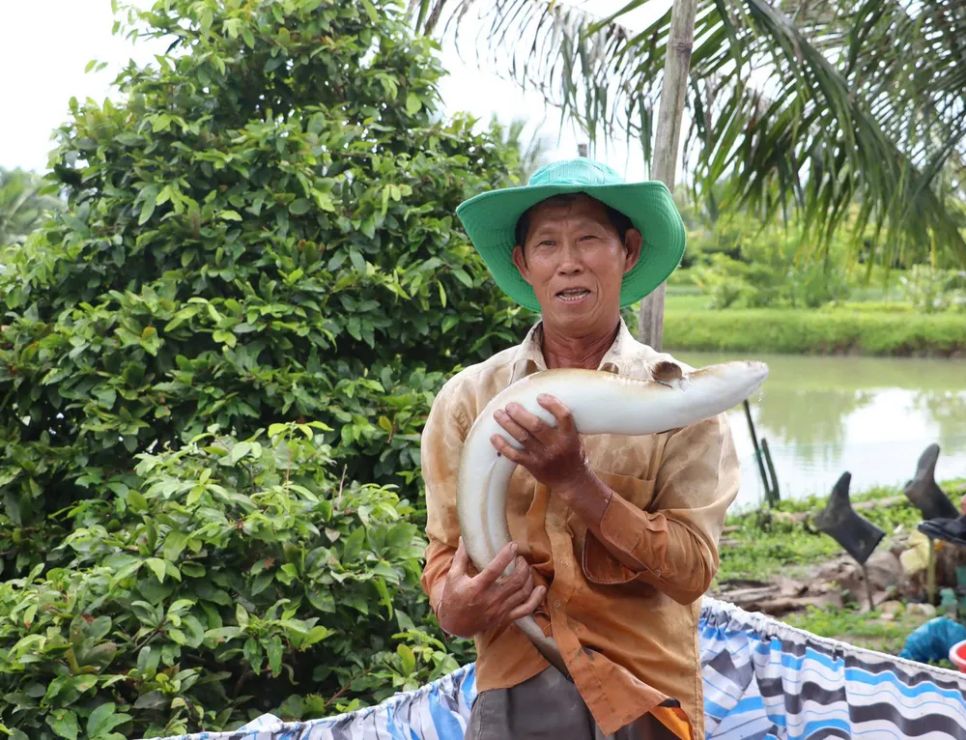 'Vua' cá chình miền Tây Nguyễn Hữu Ánh