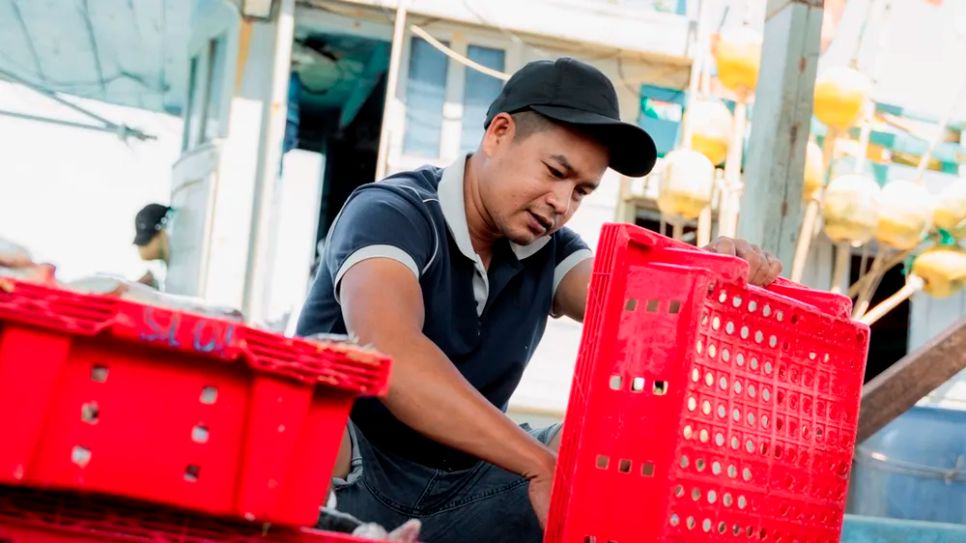 <i>Niềm vui lan tỏa nơi cảng cá Đại An. Ảnh: Trí Trần</i>