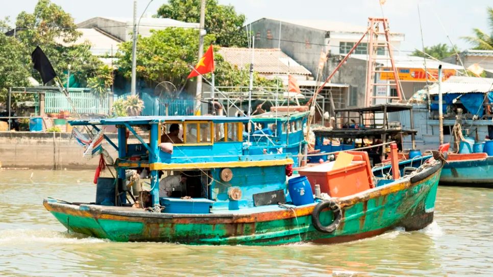 <i>Sau nhiều ngày đánh bắt xa bờ, những chuyến tàu chở đầy cá tươi bắt đầu cập bến. Ảnh: Trí Trần</i>