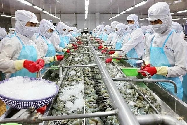Trung Quốc tăng mạnh nhập khẩu thủy sản từ Việt Nam. Ảnh minh họa