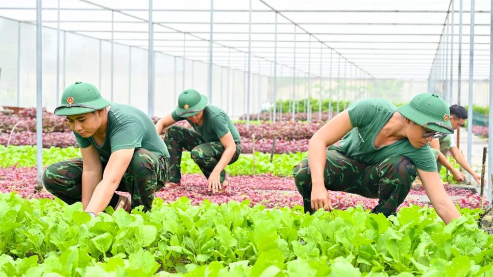 Chiến sĩ mới tăng gia sản xuất