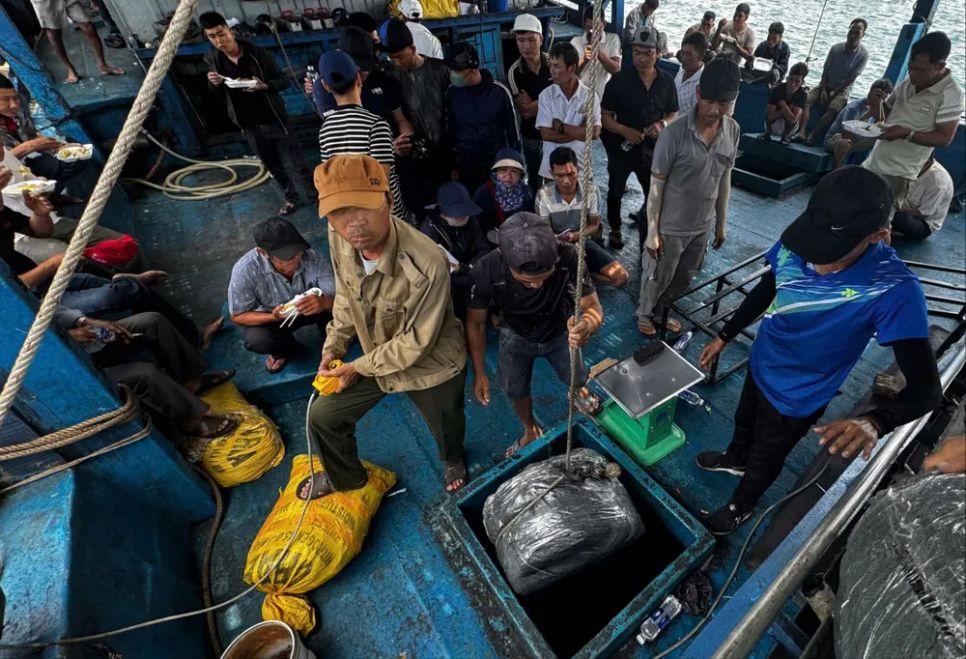 Xã Bình Sơn có hơn 160 tàu hành nghề câu mực xà