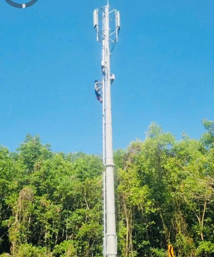 Khu vực đường Rừng Sác đã được phủ sóng di động 
