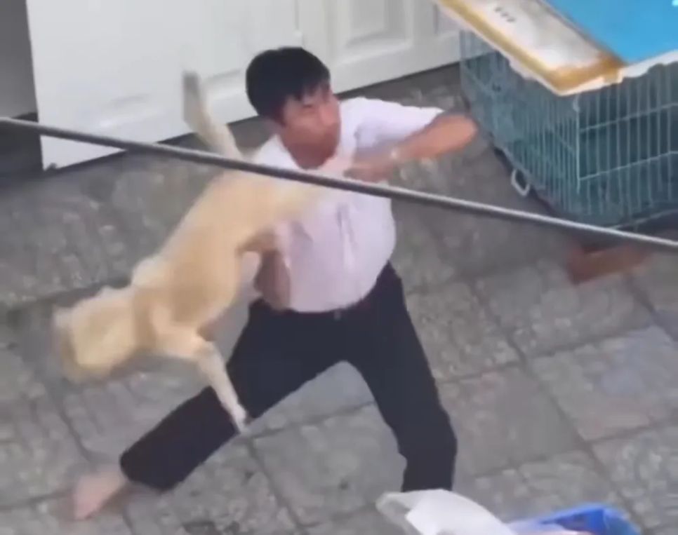 Xác minh vụ shipper bị đánh vì từ chối cắt lông chó