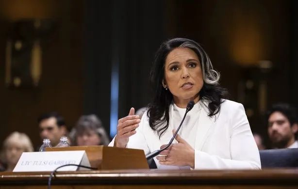 Giám đốc Tình báo quốc gia Mỹ Tulsi Gabbard. Ảnh: Francis Chung/POLITICO